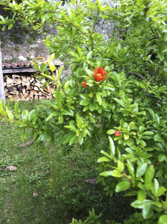 3 Rooms Apartment Whit Balcony And Lake Wiew Malcesine Exteriör bild